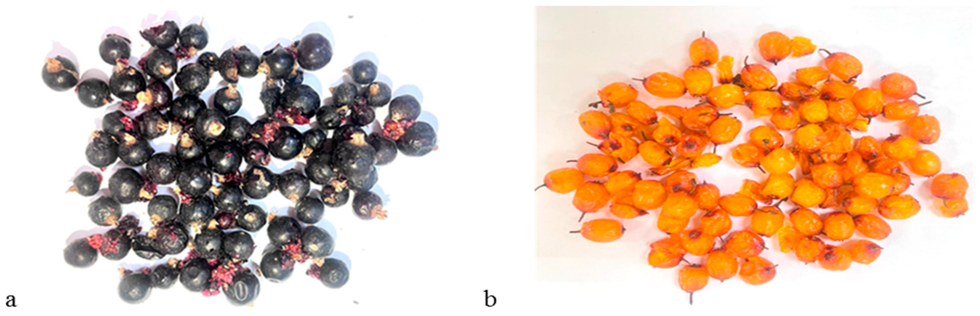 Applsci 13 12709 g002 Applsci 13 12709 g002