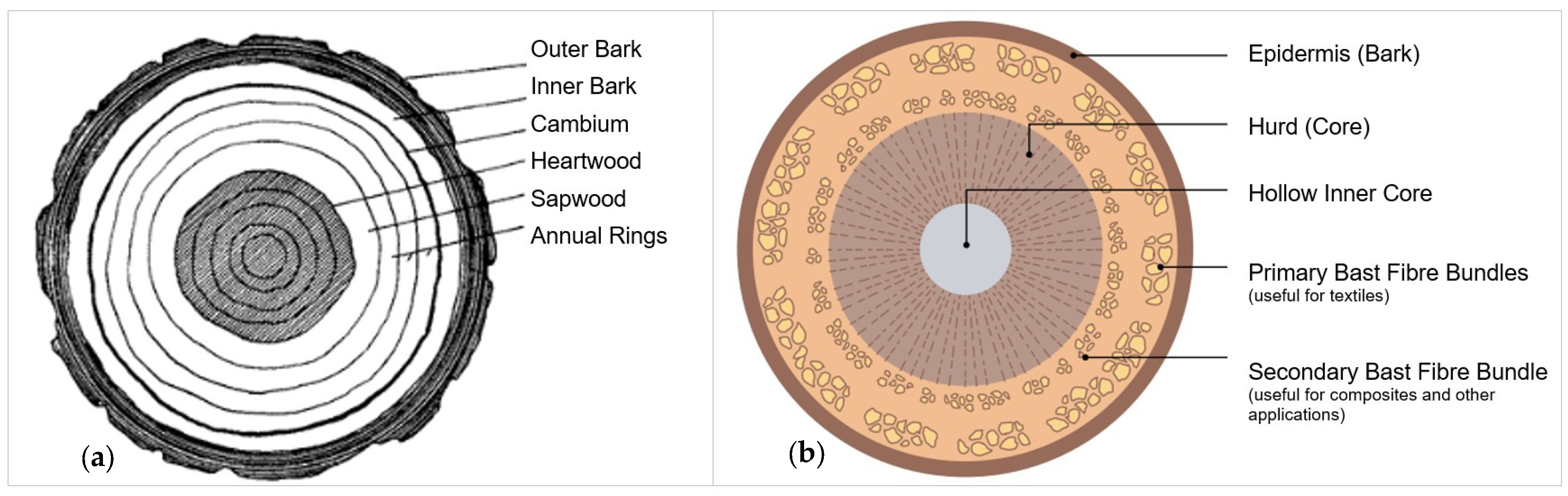 Applsci 13 12759 g004
