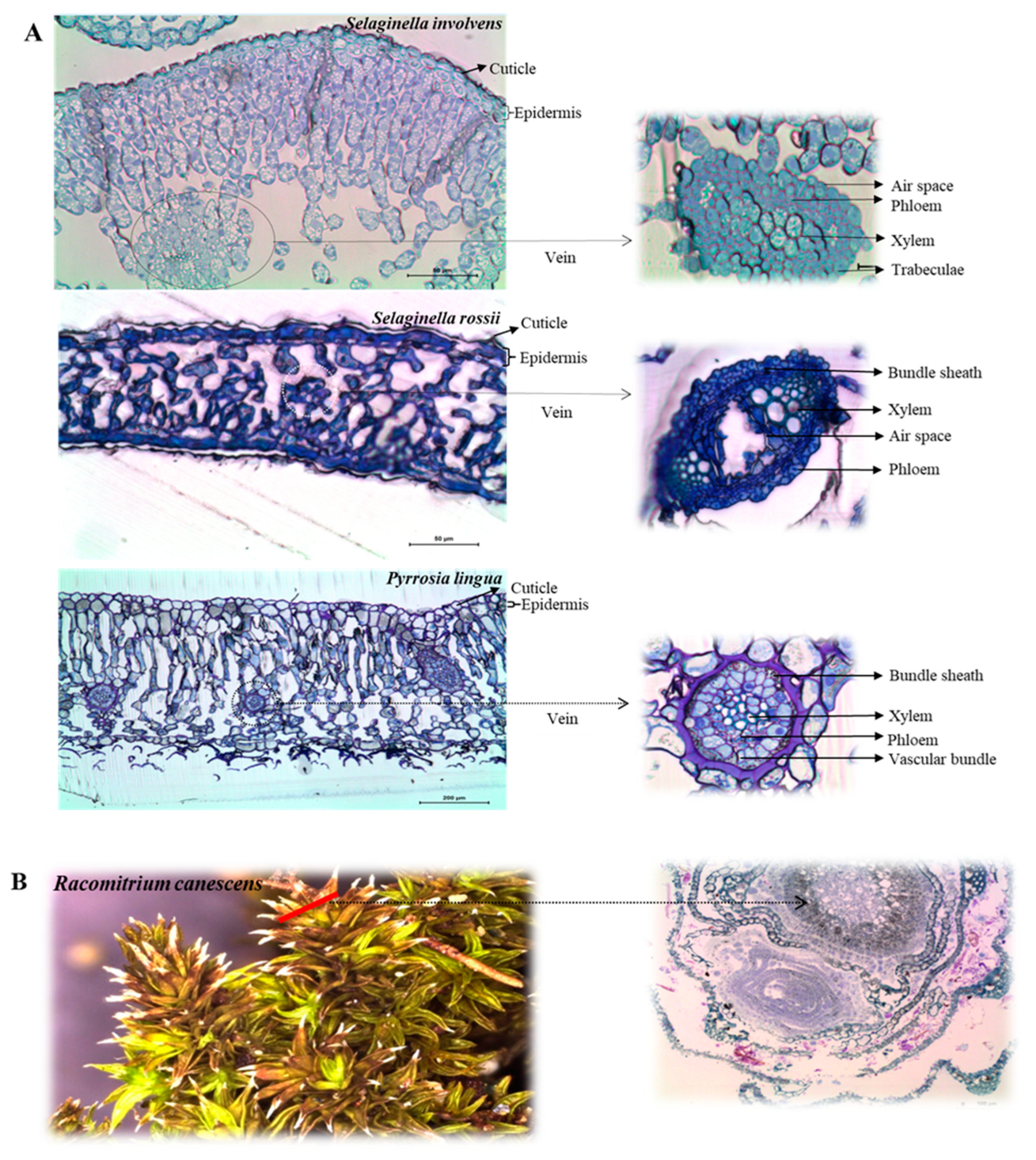 Applsci 13 12797 g002 Applsci 13 12797 g002
