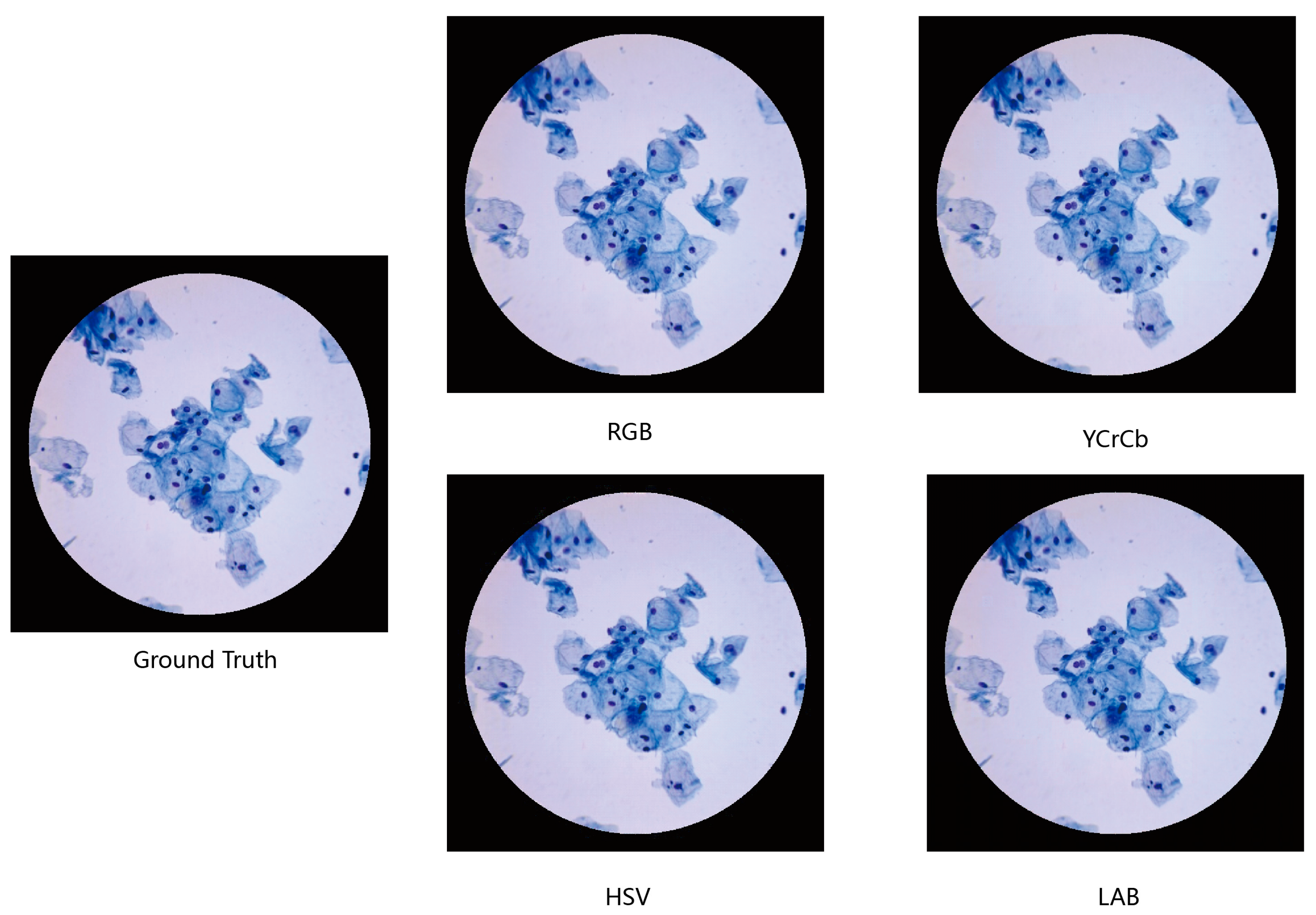 Applsci 13 12798 g006