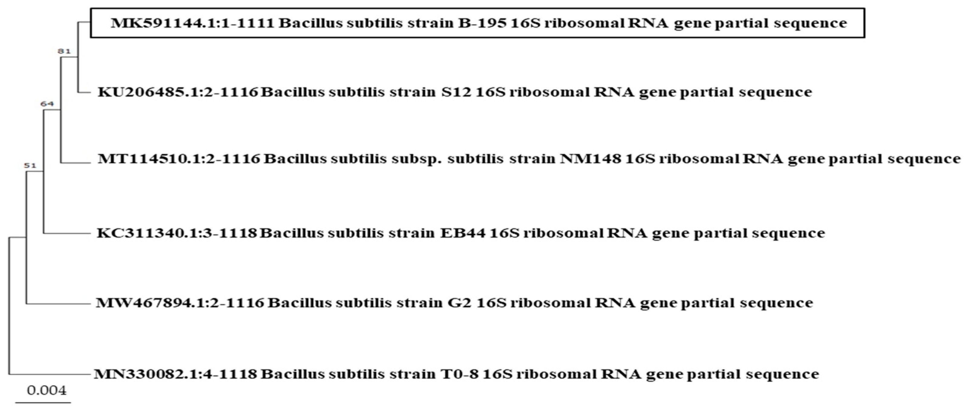 Applsci 13 12819 g003