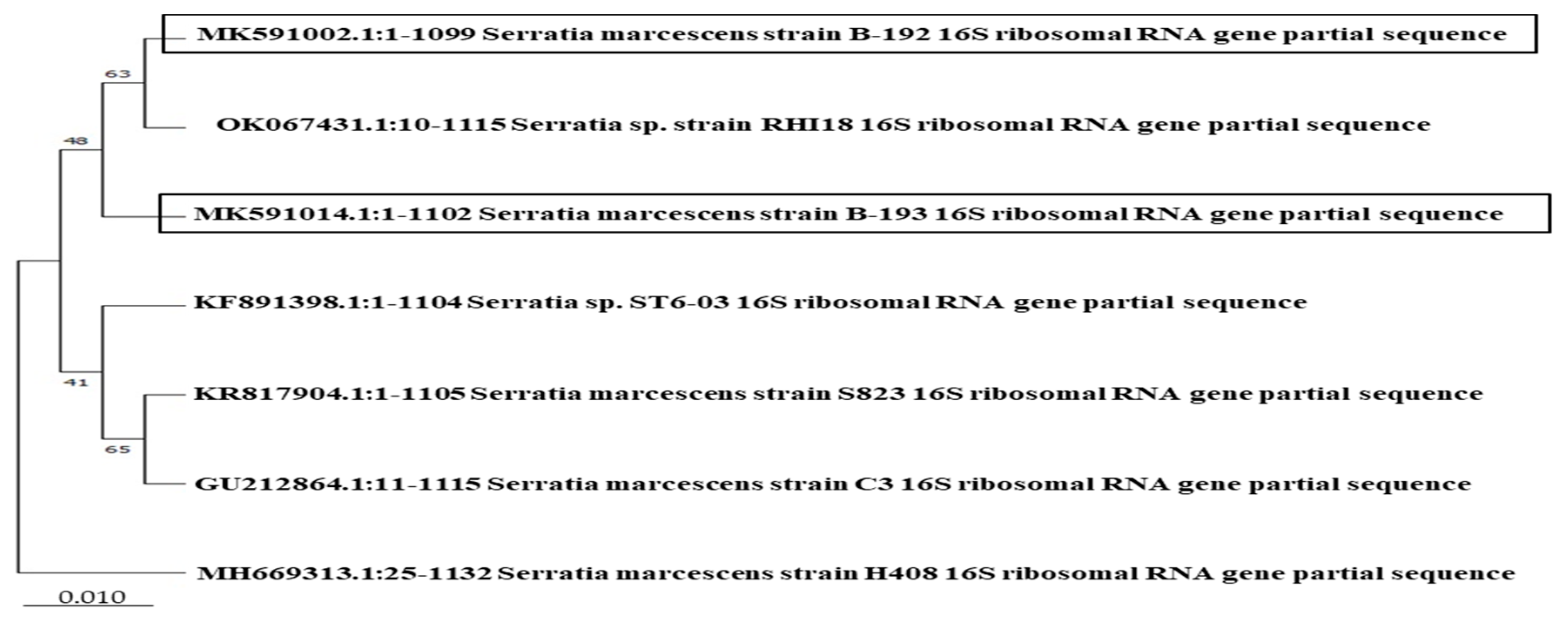 Applsci 13 12819 g004