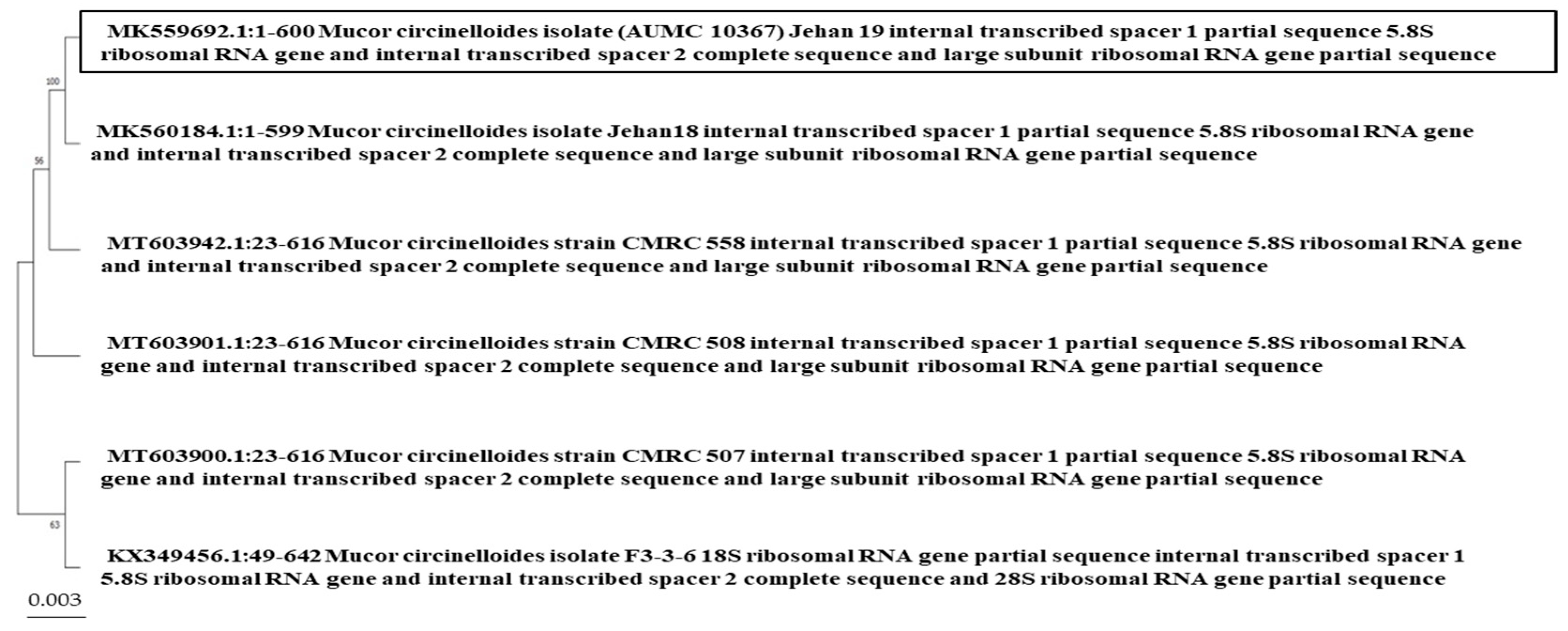 Applsci 13 12819 g005