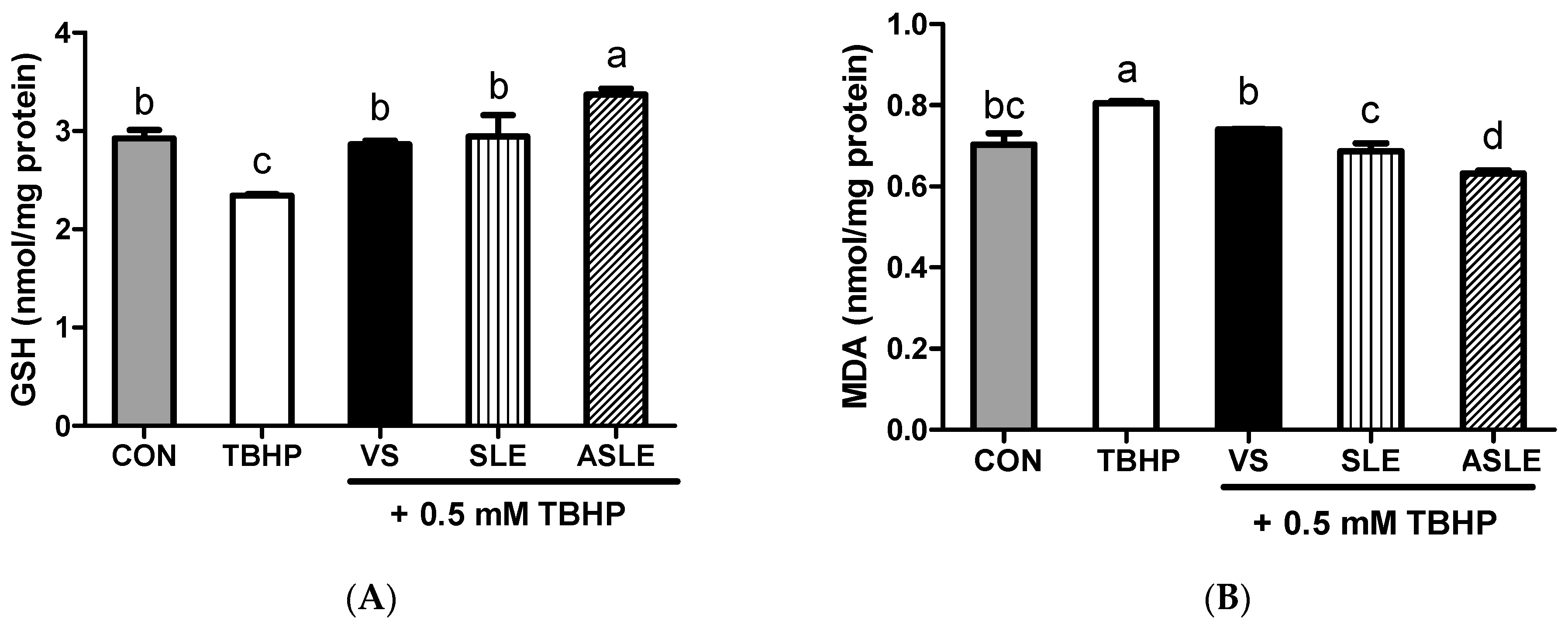 Applsci 13 12833 g003