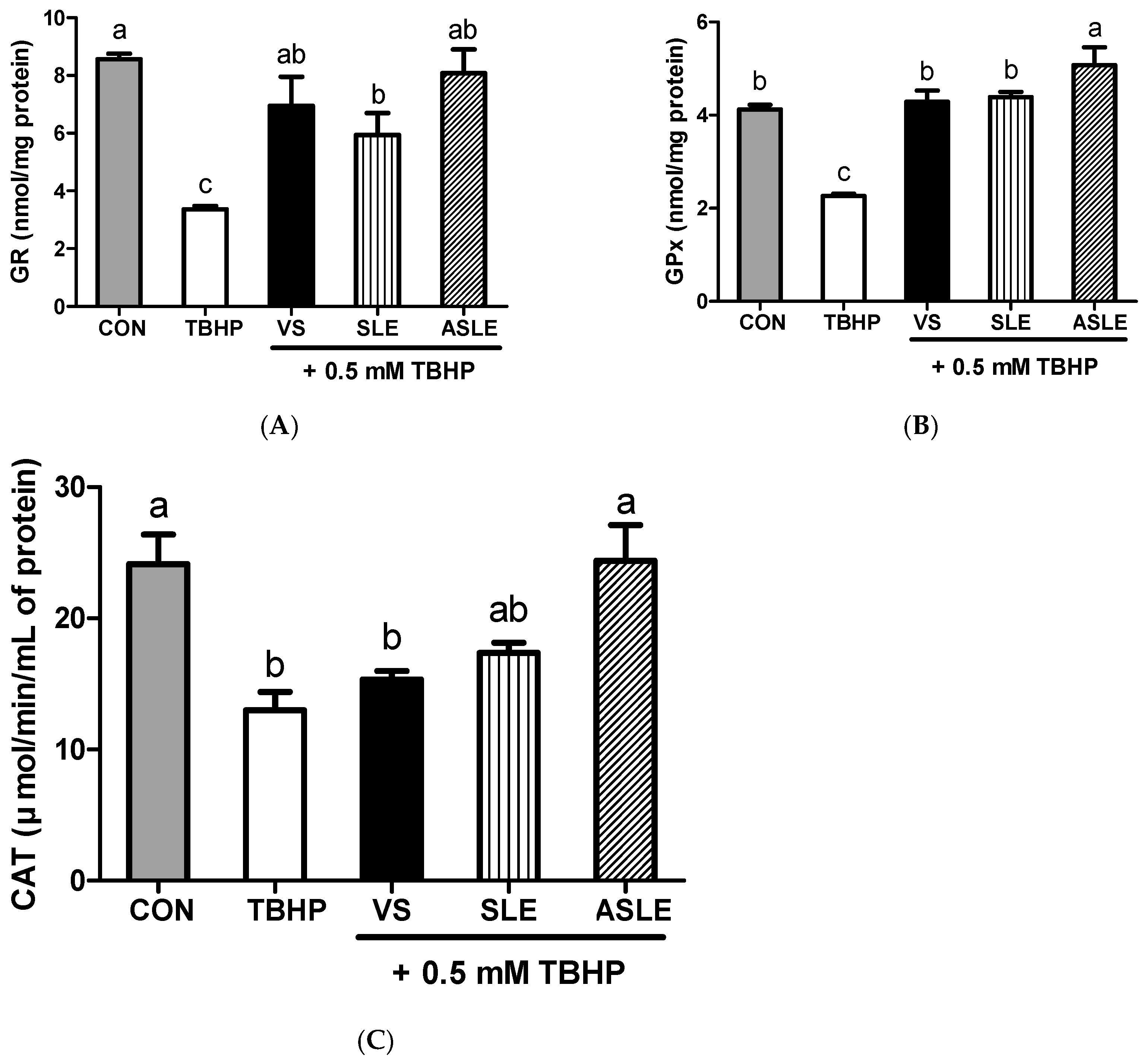 Applsci 13 12833 g004