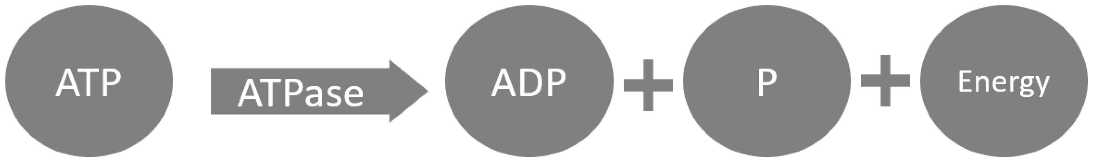 Applsci 13 12849 g001