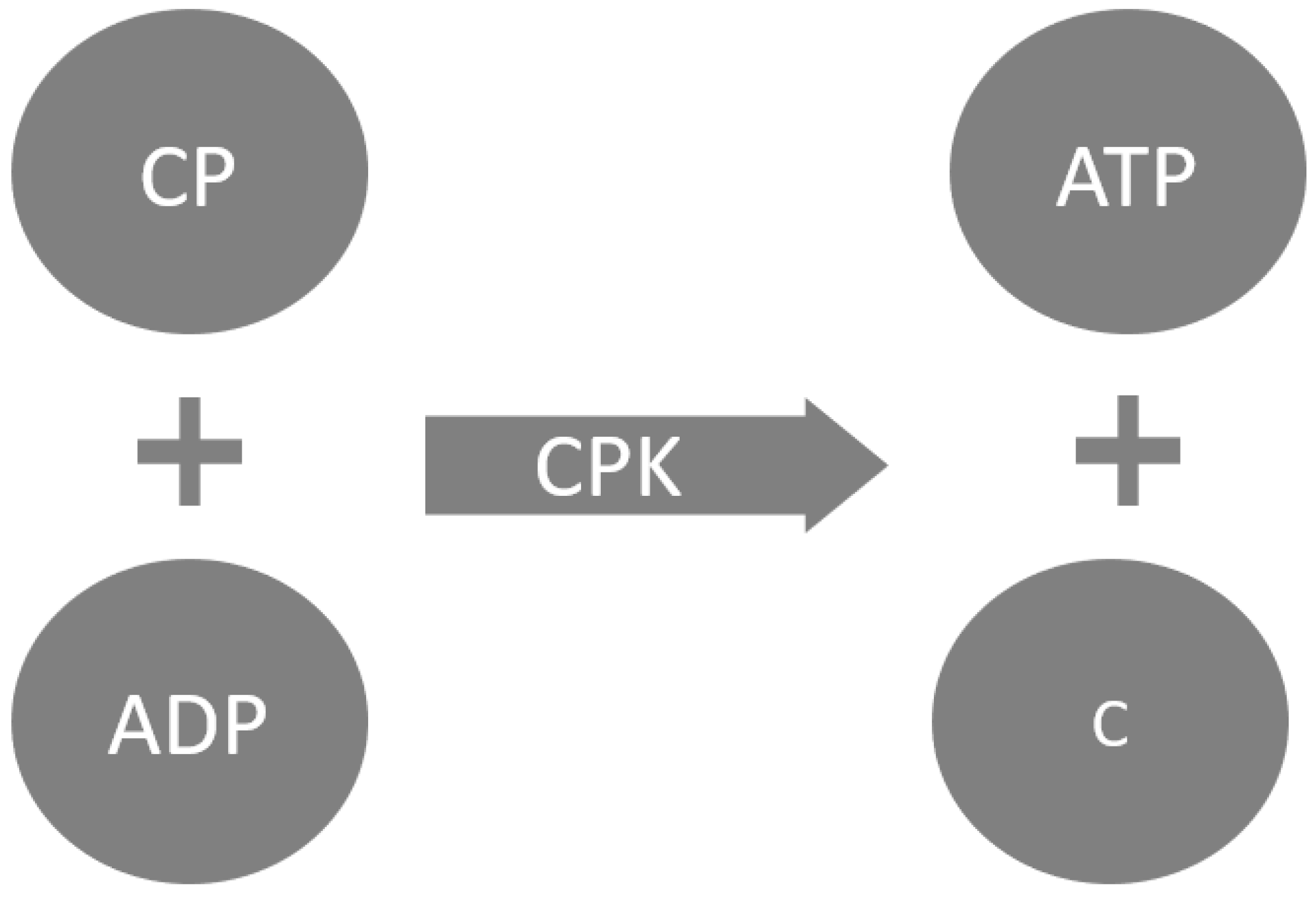 Applsci 13 12849 g002