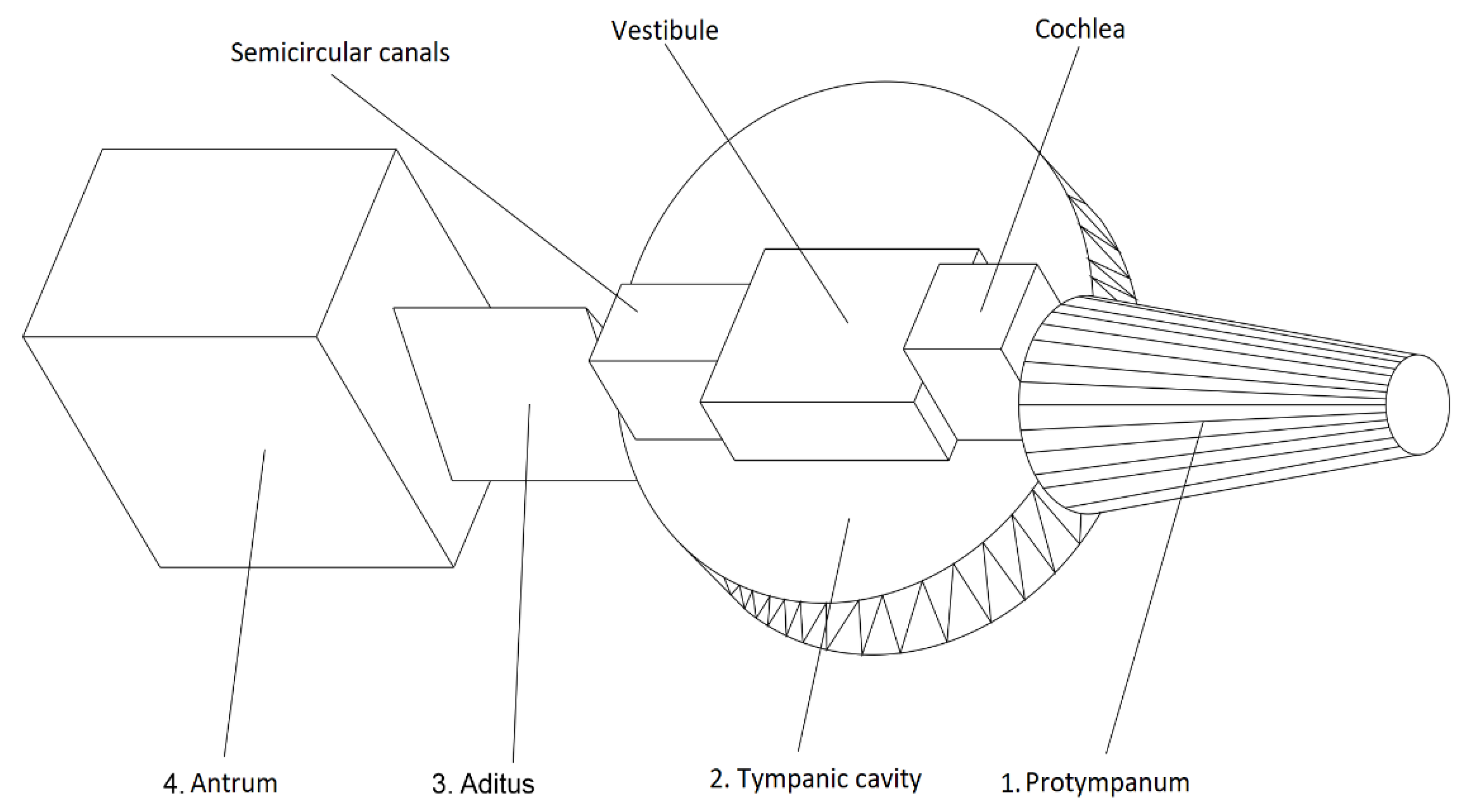 Applsci 13 12861 g002