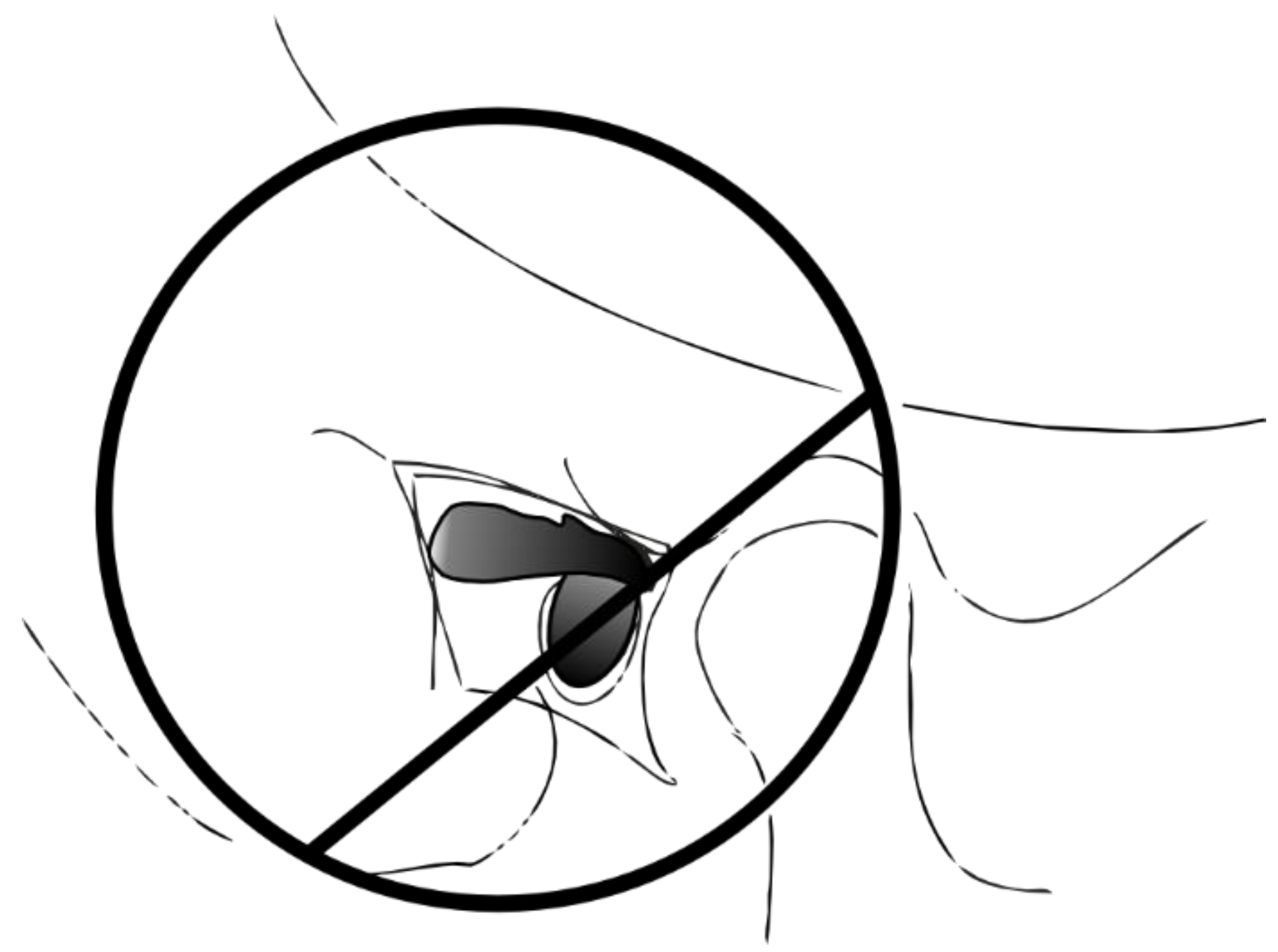 Applsci 13 12861 g008