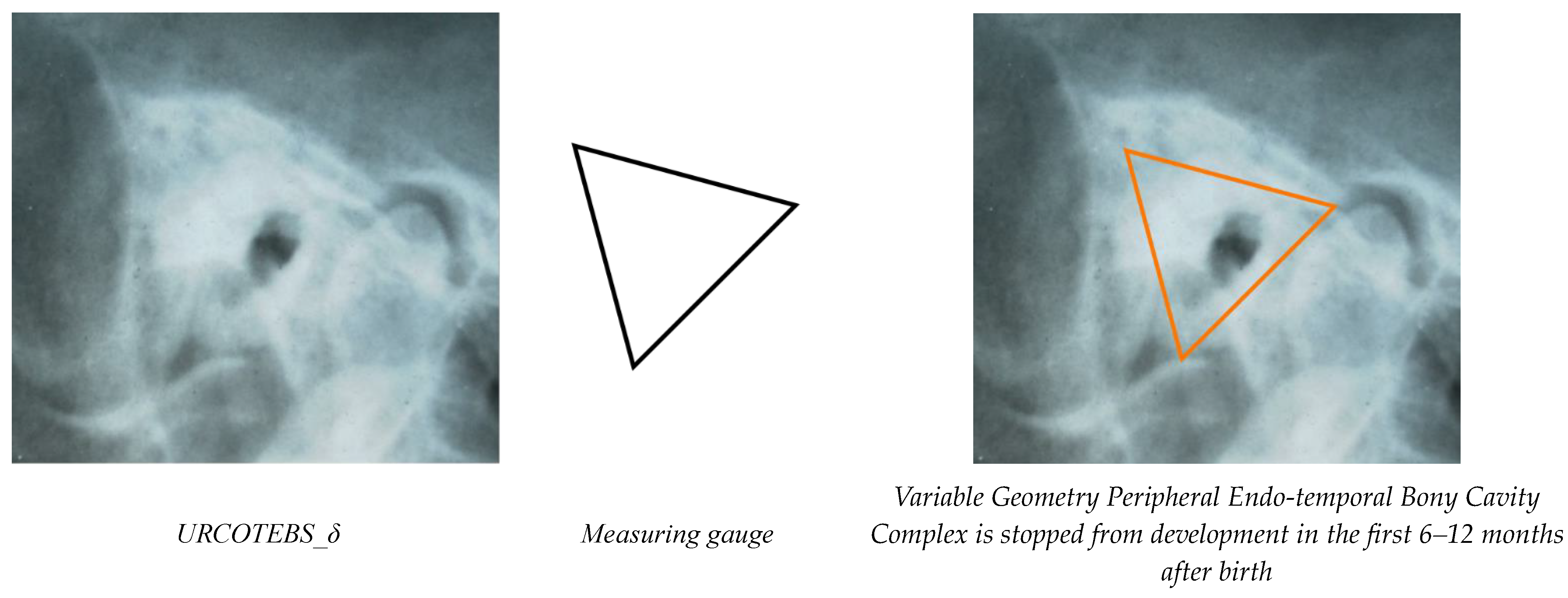 Applsci 13 12861 g009