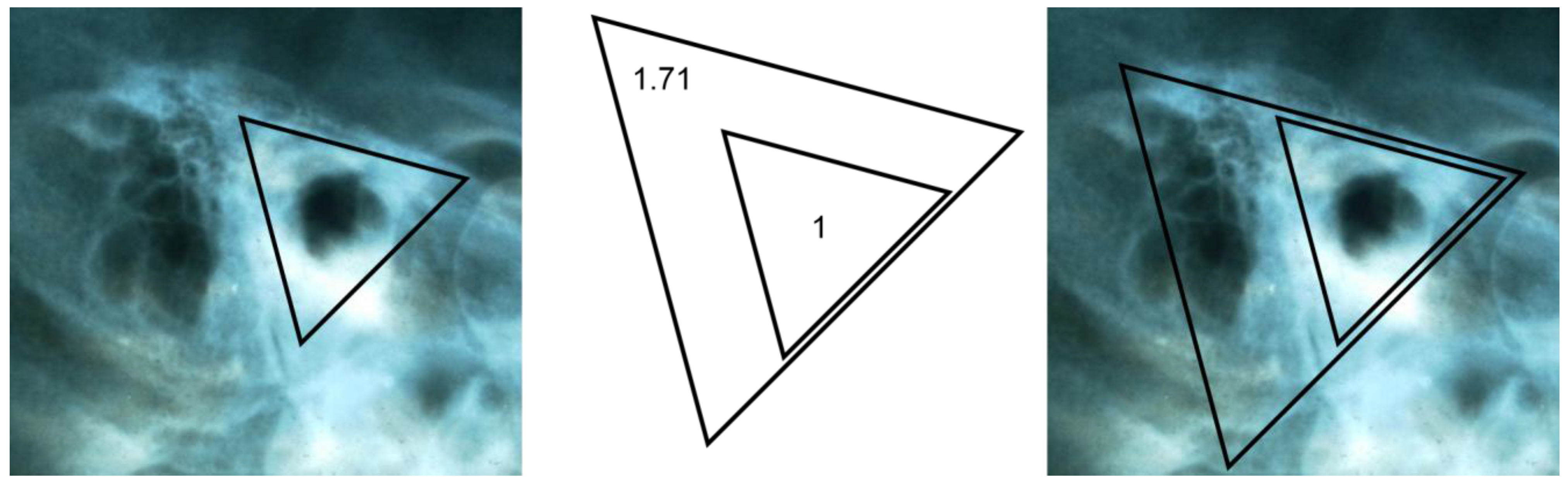 Applsci 13 12861 g010