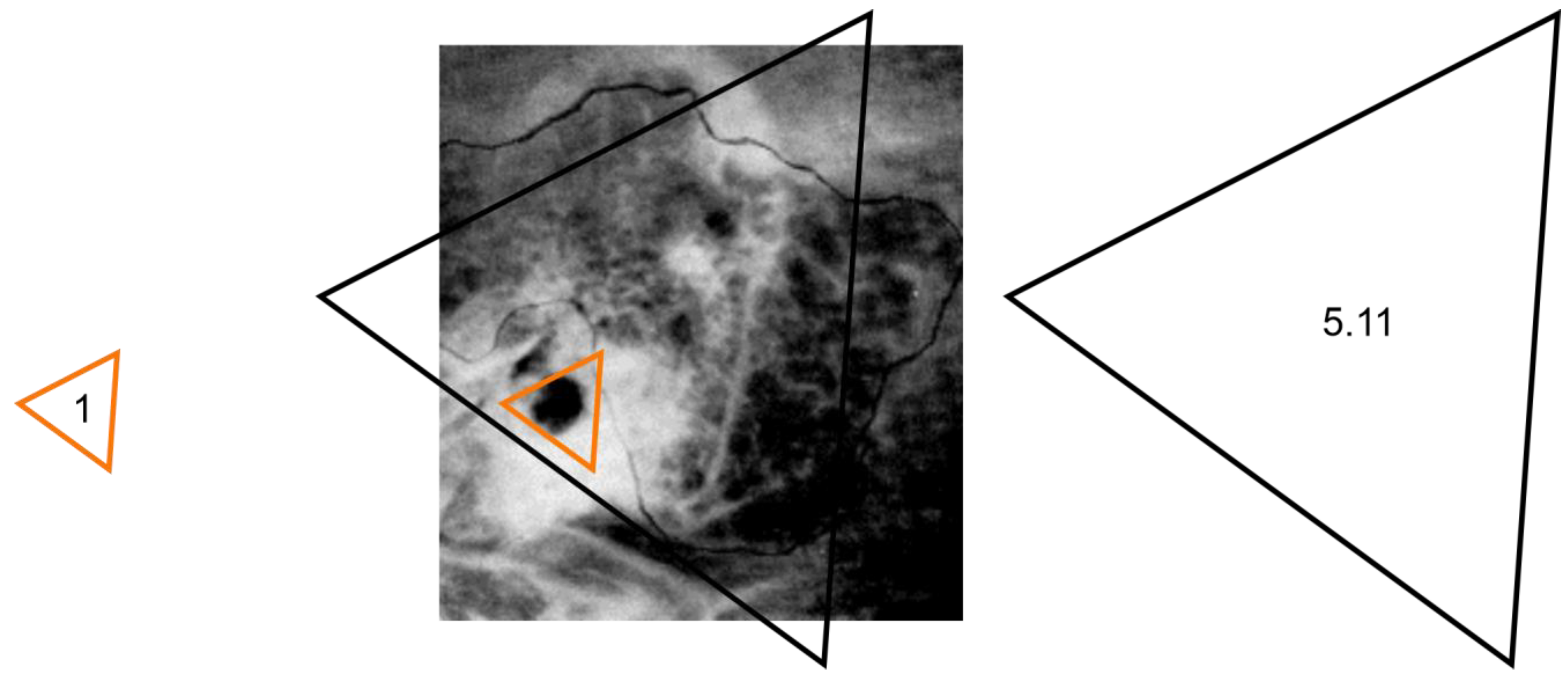 Applsci 13 12861 g012