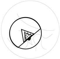 Applsci 13 12861 i005