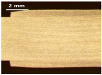 Applsci 13 12881 i011