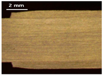 Applsci 13 12881 i012