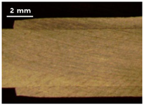 Applsci 13 12881 i014