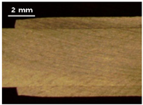 Applsci 13 12881 i015