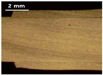 Applsci 13 12881 i016