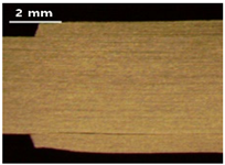 Applsci 13 12881 i017