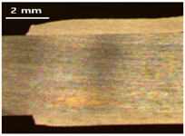 Applsci 13 12881 i018