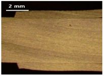 Applsci 13 12881 i020