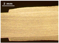 Applsci 13 12881 i021