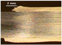 Applsci 13 12881 i023