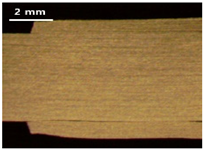 Applsci 13 12881 i024