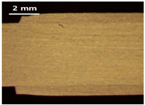 Applsci 13 12881 i025