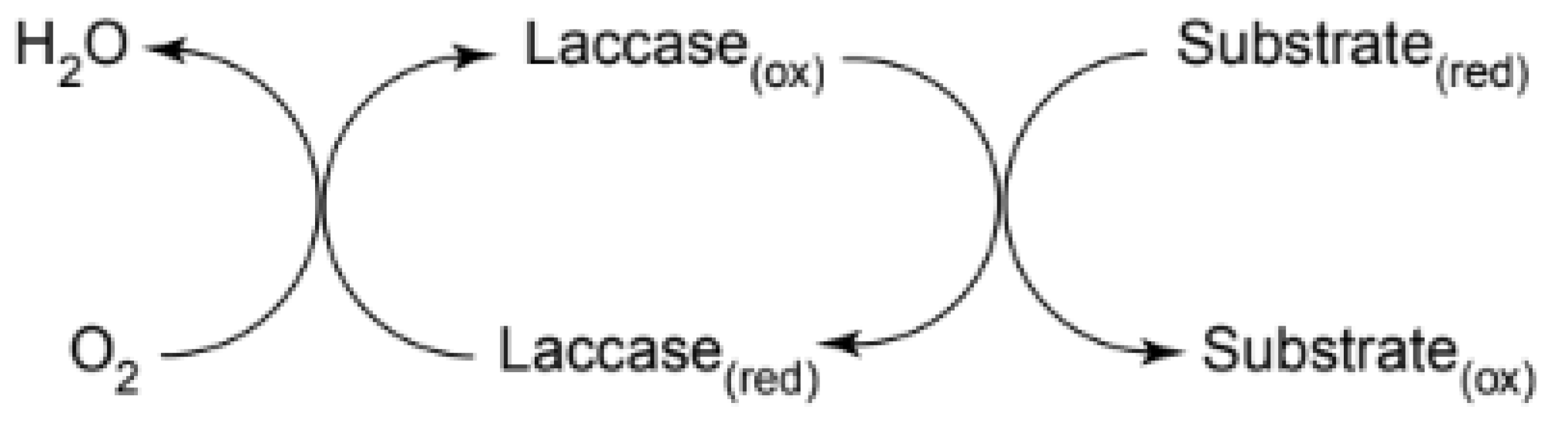 Applsci 13 12929 g001