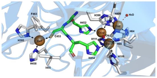 Applsci 13 12929 g002