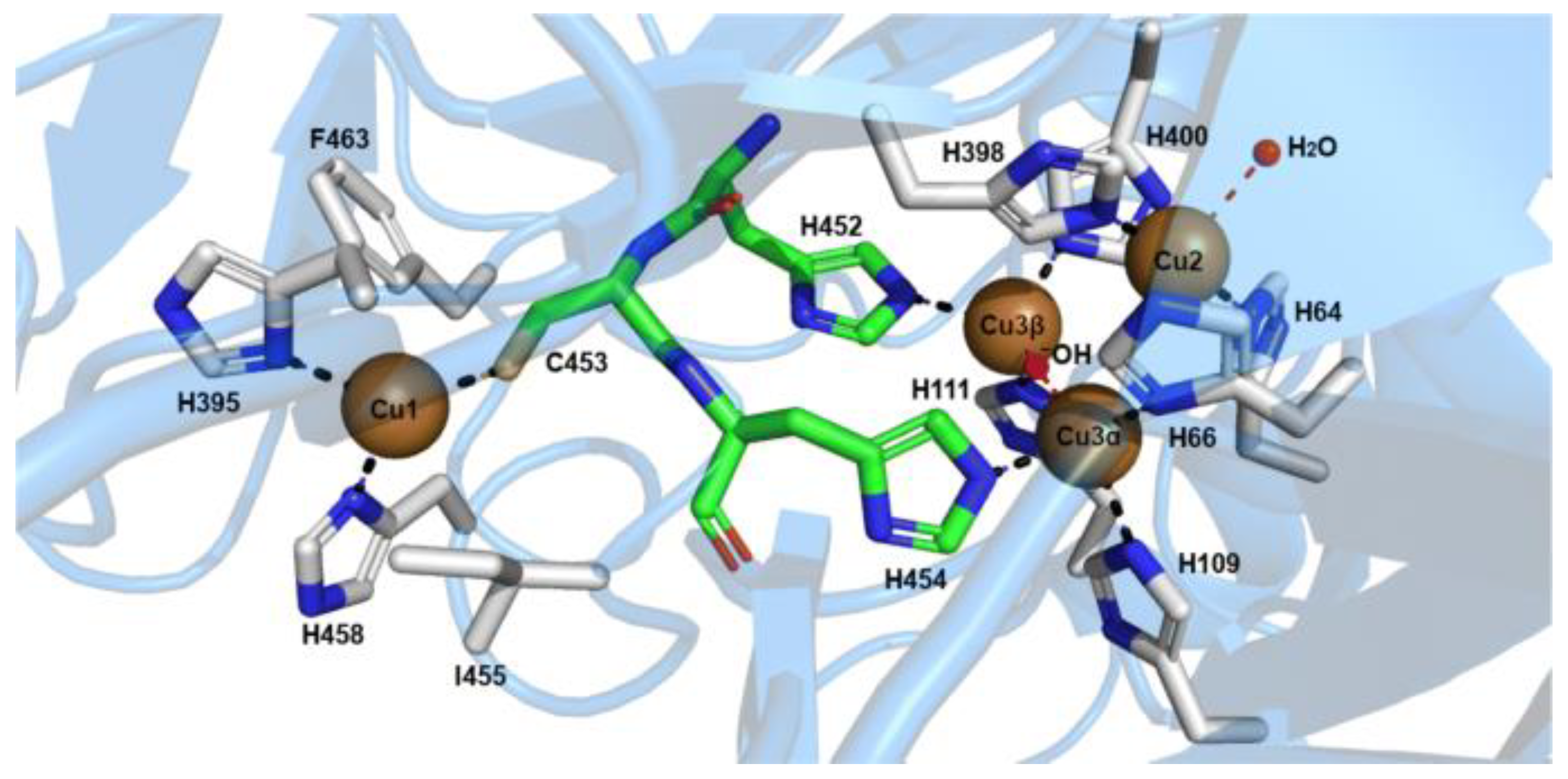 Applsci 13 12929 g002