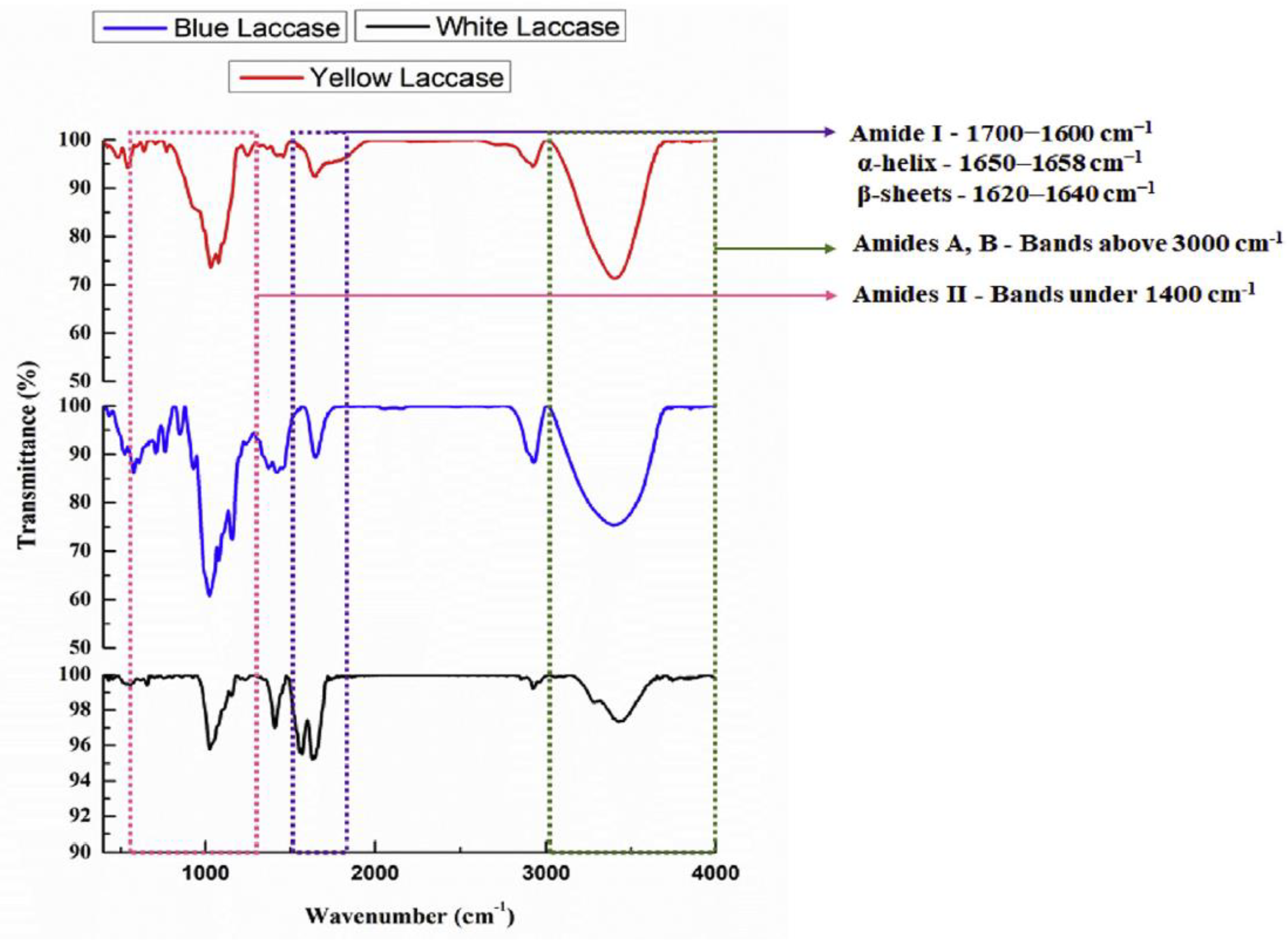 Applsci 13 12929 g007
