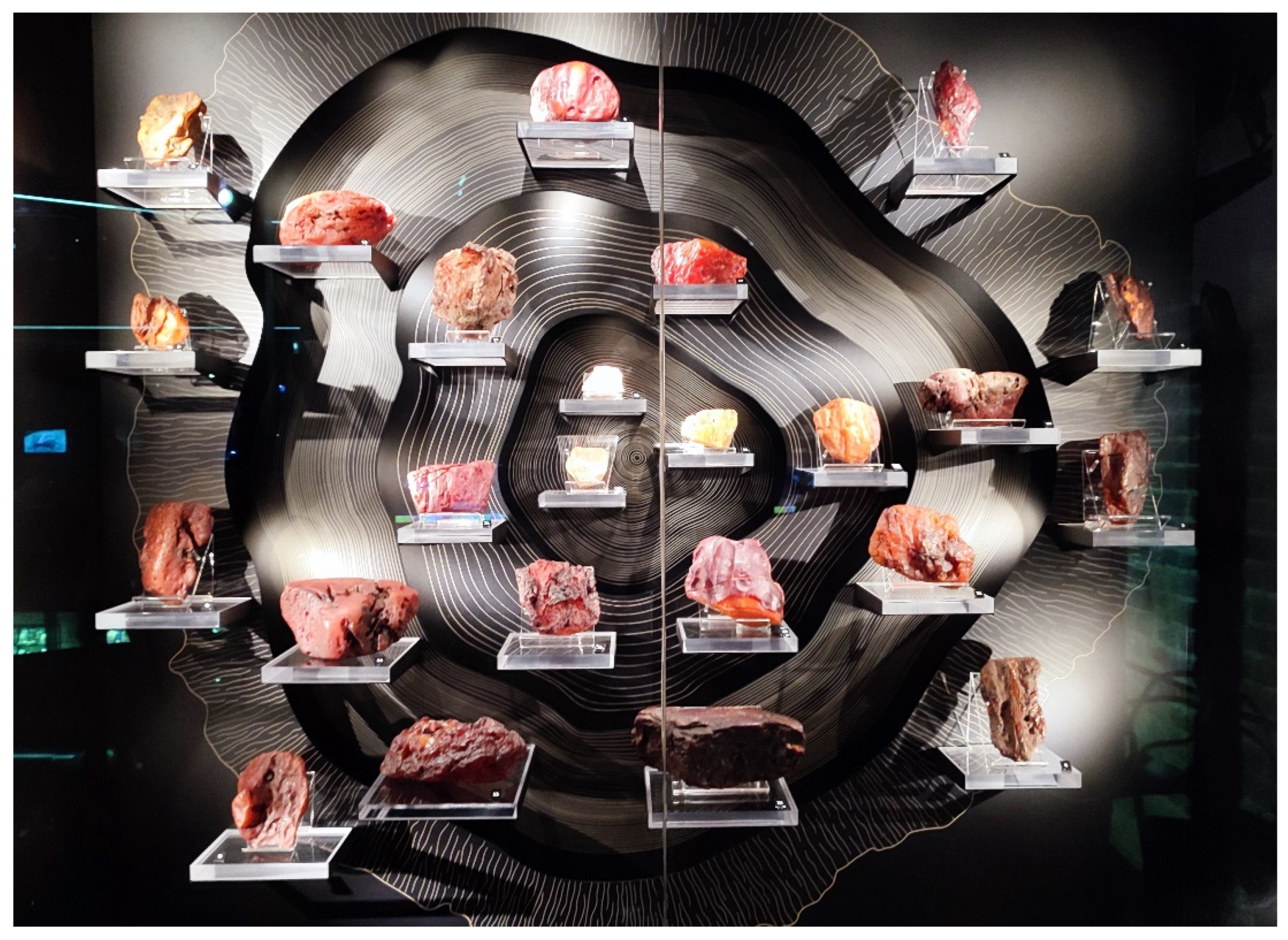 Applsci 13 12973 g001