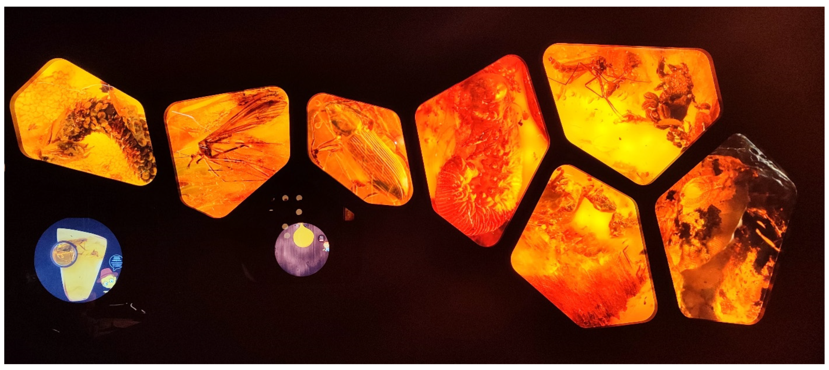 Applsci 13 12973 g002