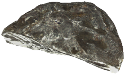 Applsci 13 12973 i004