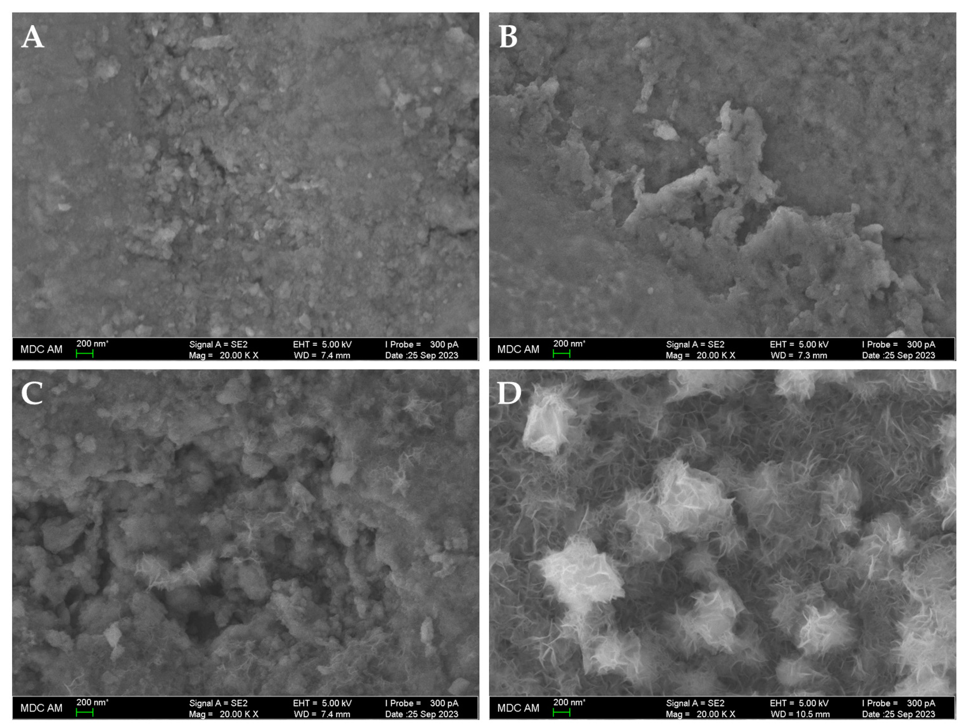 Applsci 13 12984 g006