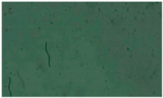 Applsci 13 12991 i008