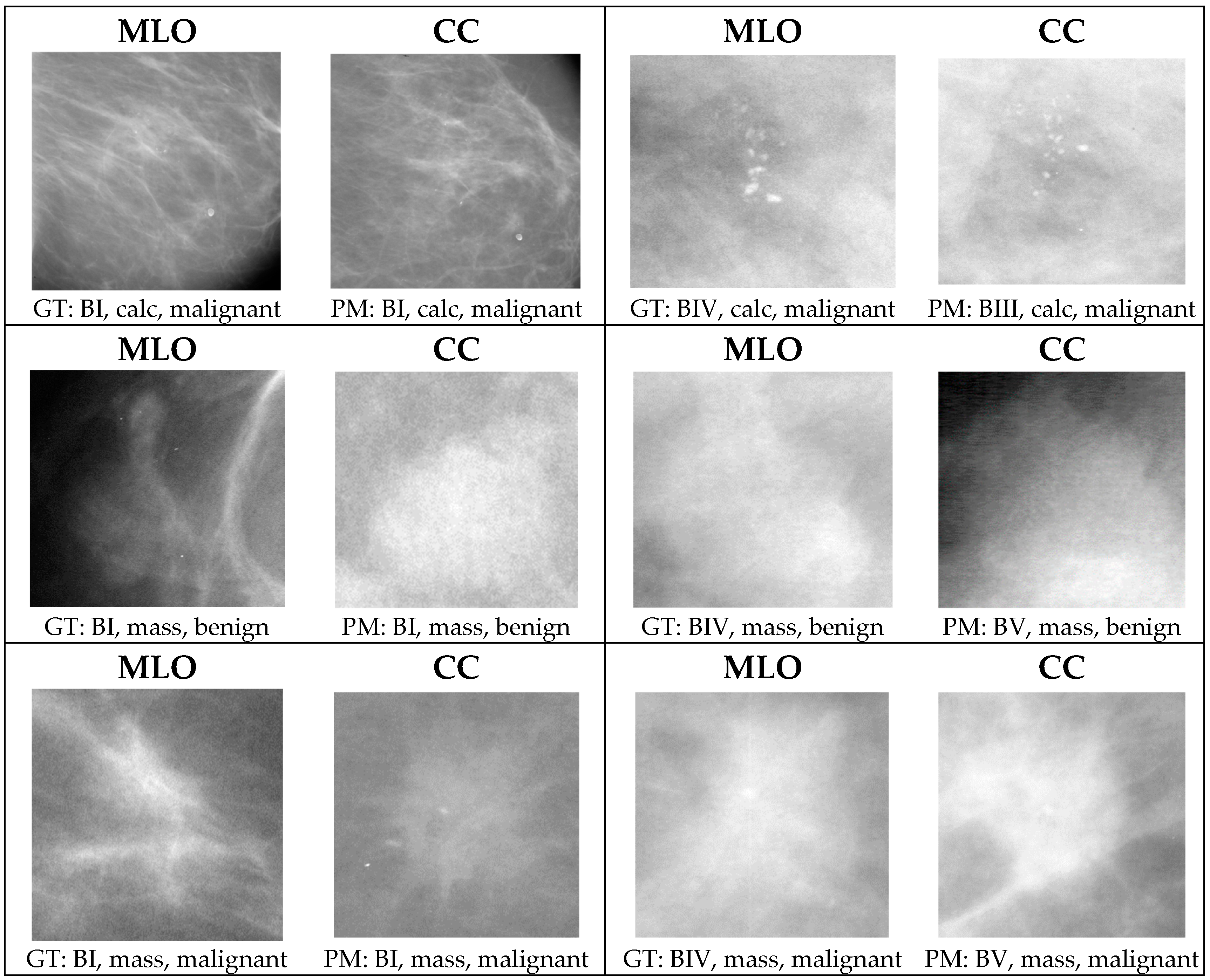 Applsci 13 12995 g008b