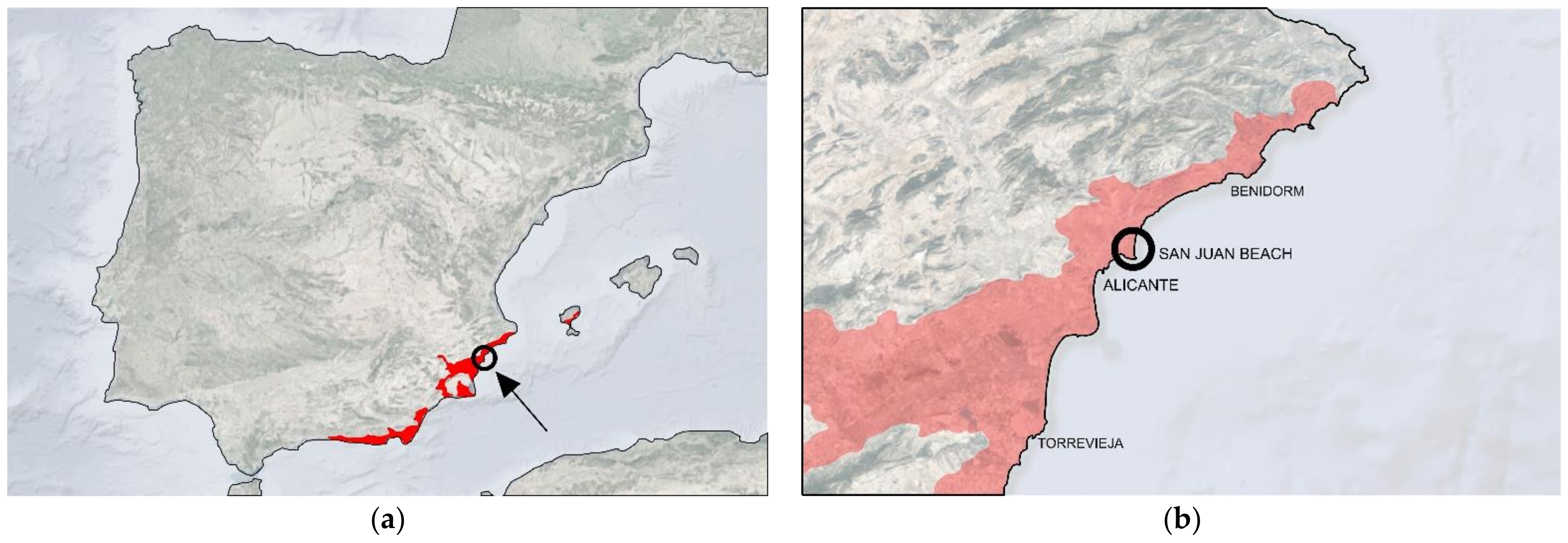 Applsci 13 13082 g001