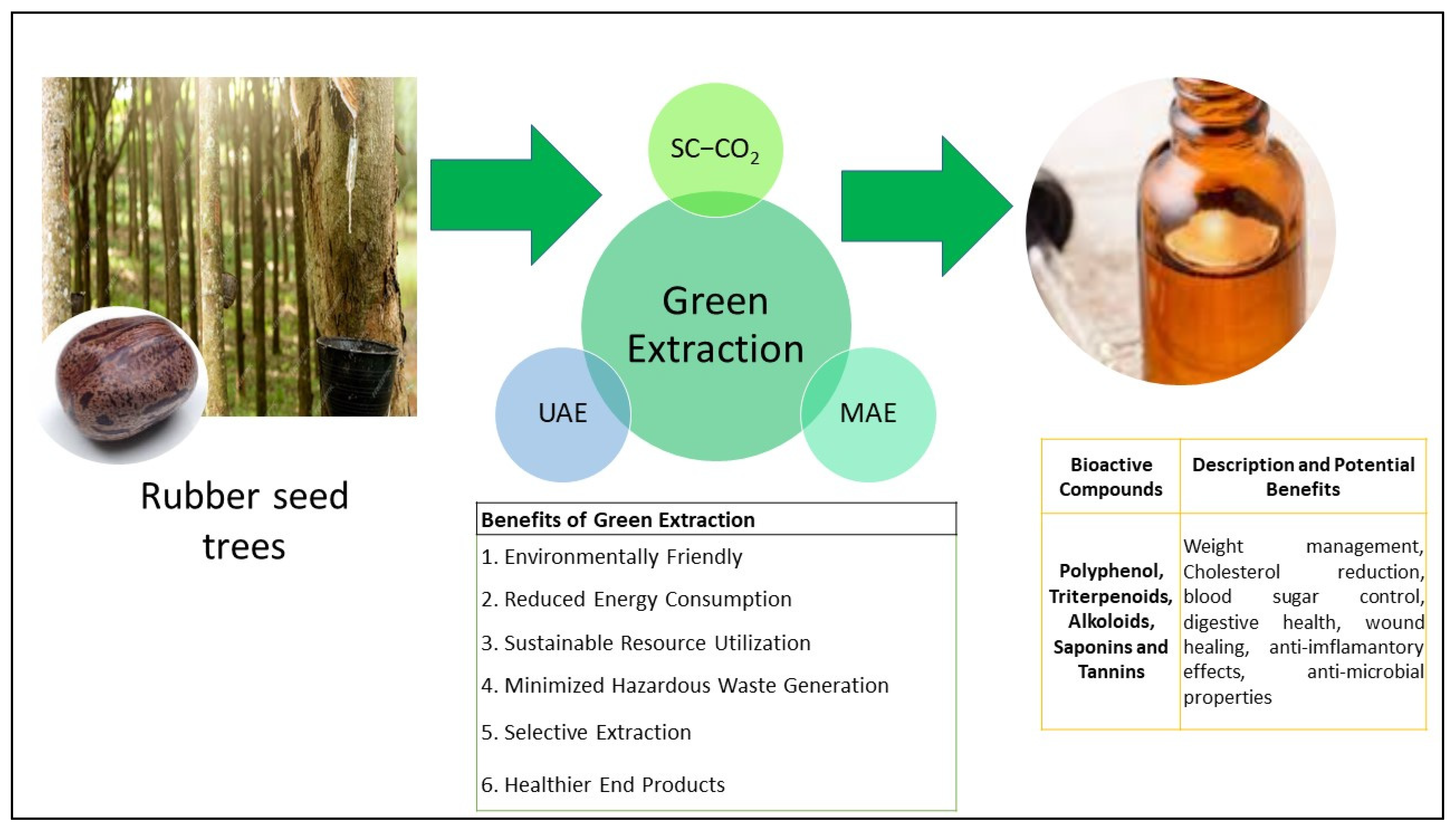 Applsci 13 13102 g001