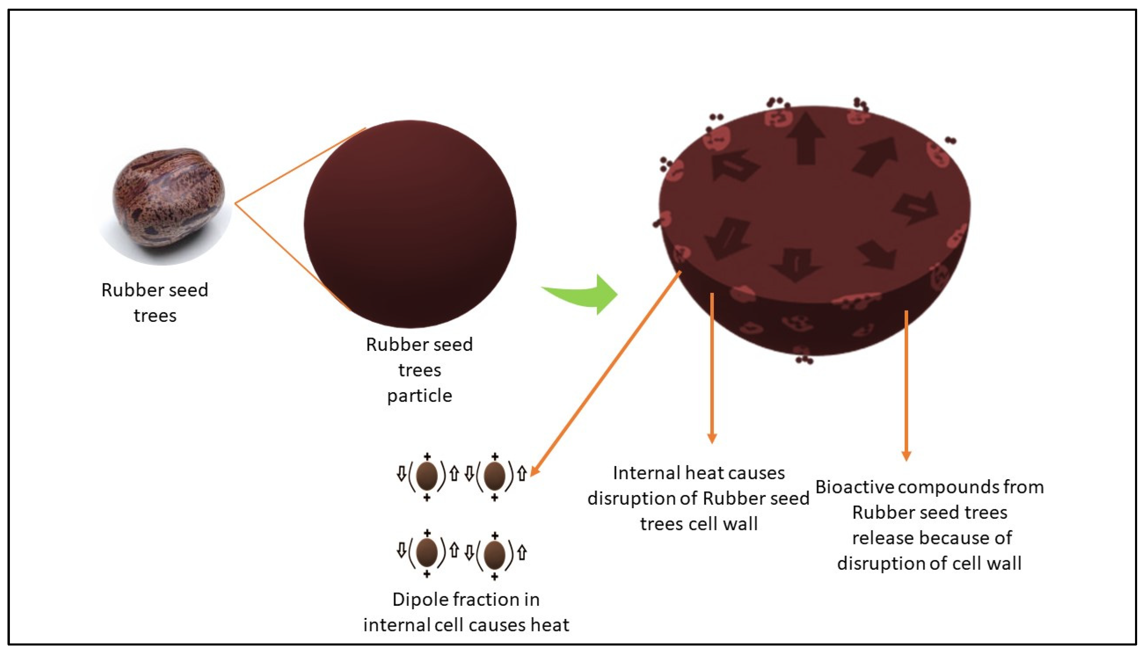 Applsci 13 13102 g005