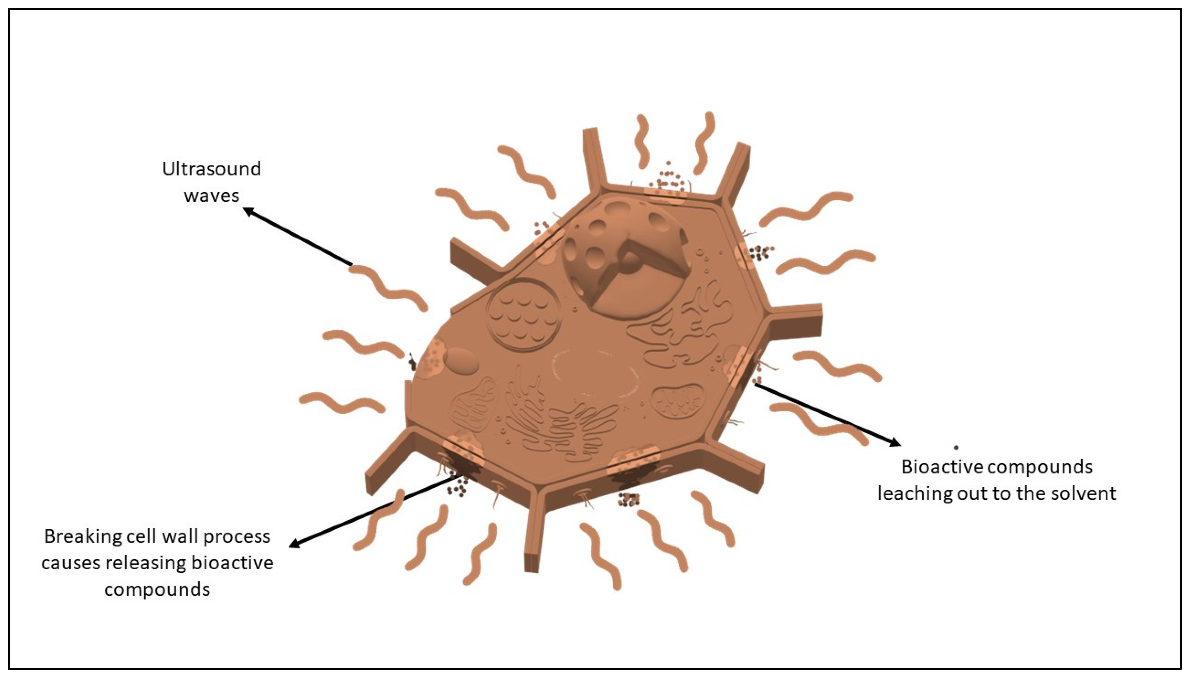 Applsci 13 13102 g006