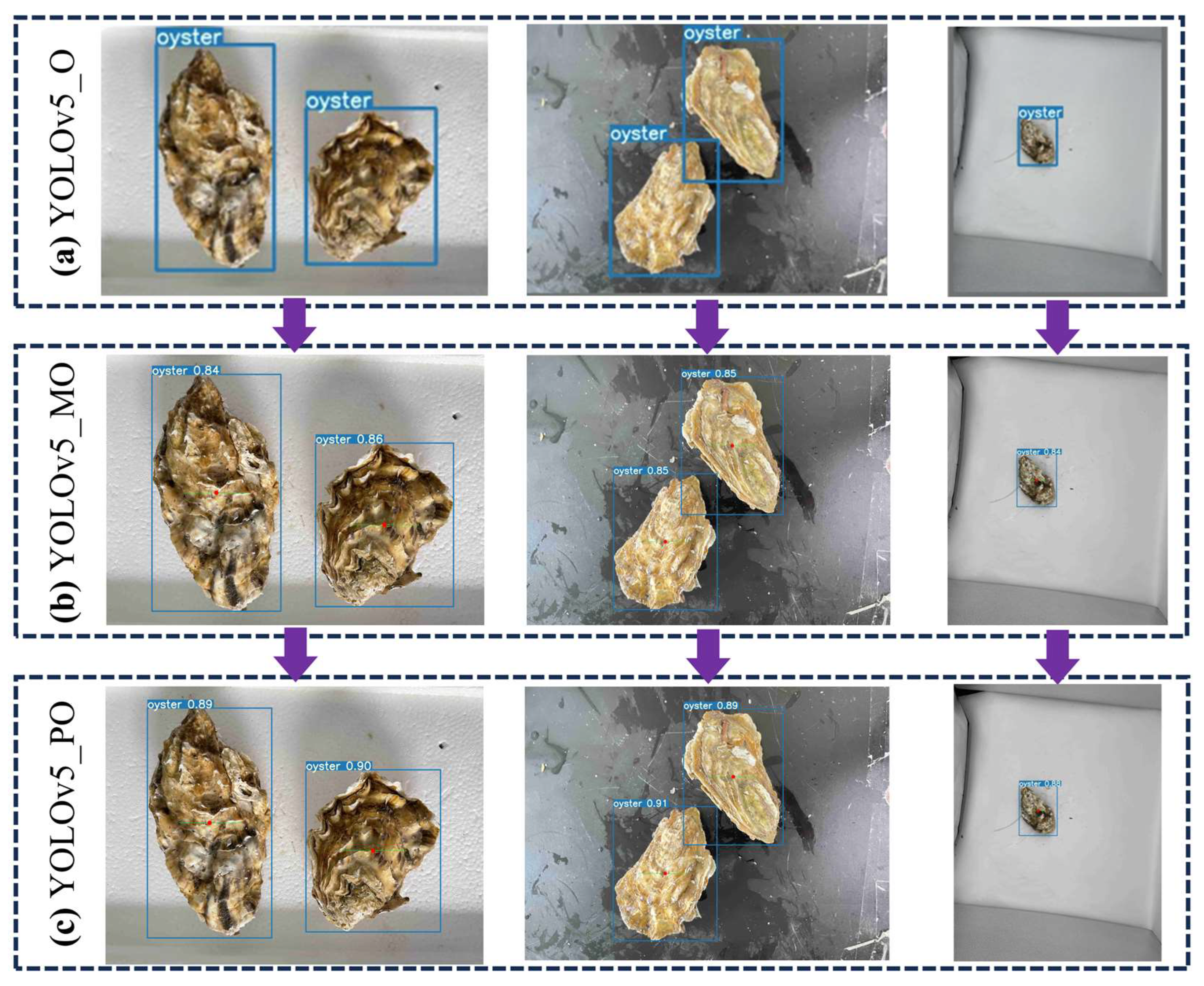 Applsci 13 13105 g005 Applsci 13 13105 g005