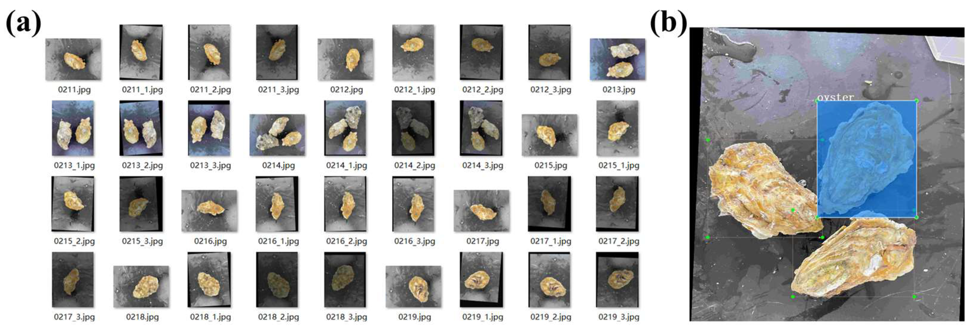 Applsci 13 13105 g009 Applsci 13 13105 g009