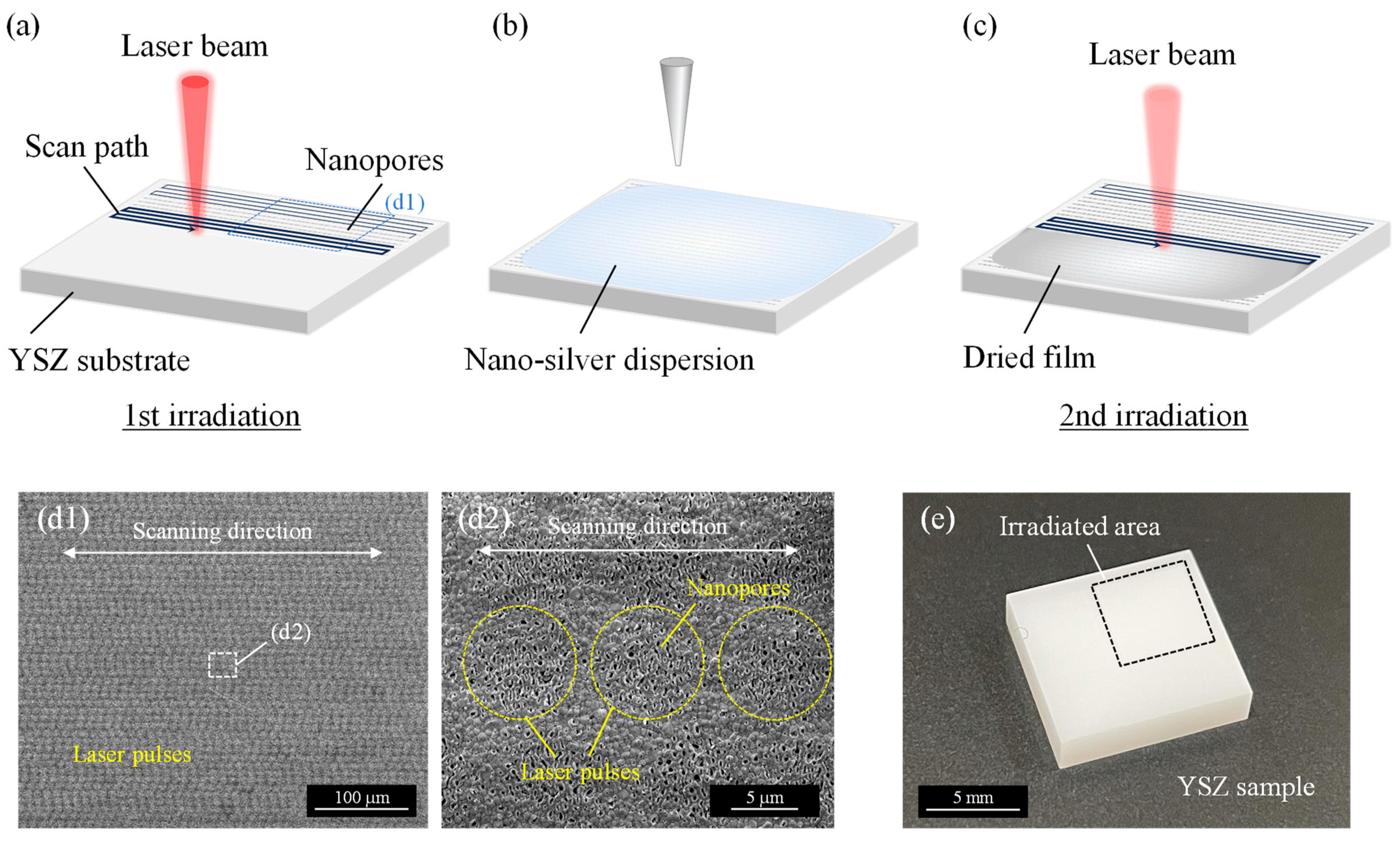 Applsci 13 13108 g002