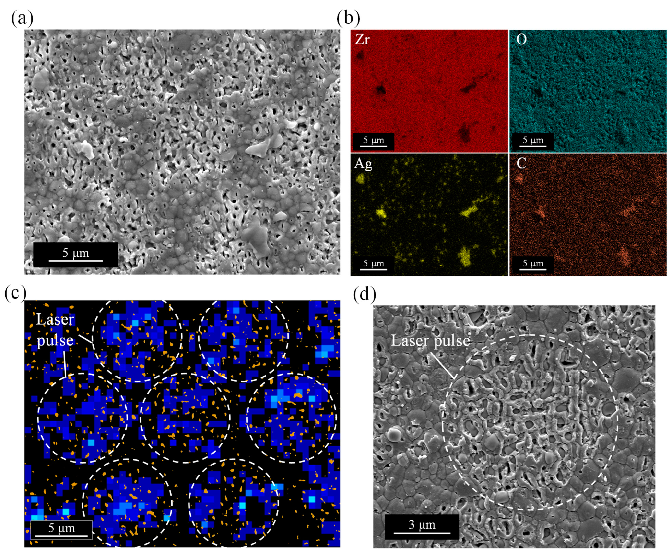 Applsci 13 13108 g007