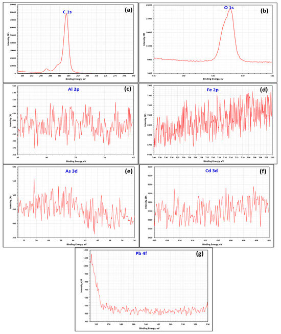 Applsci 13 13119 g007