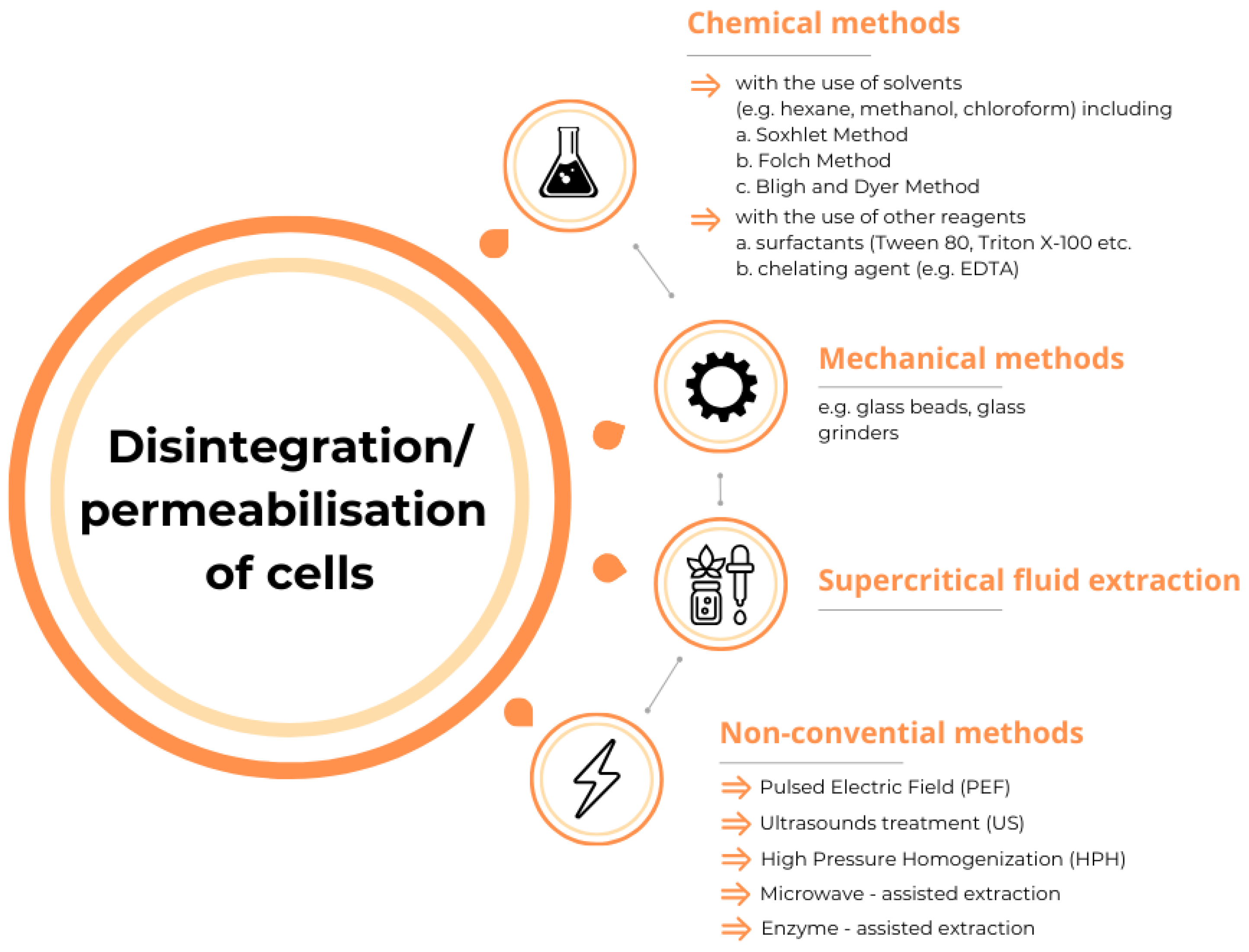 Applsci 13 13135 g001 Applsci 13 13135 g001