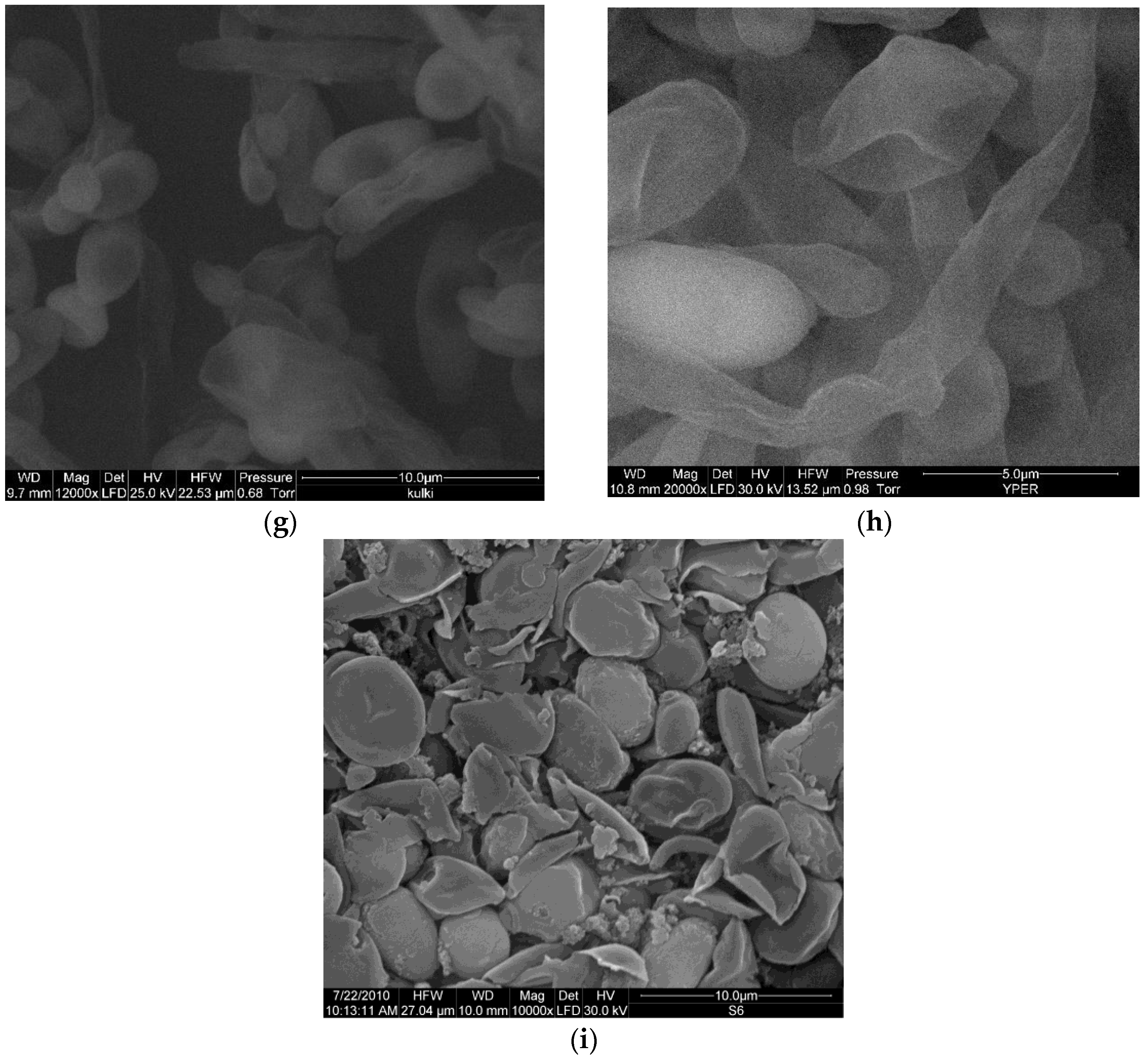 Applsci 13 13135 g008b Applsci 13 13135 g008b